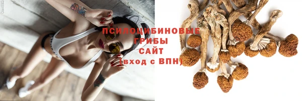 спайс Костерёво